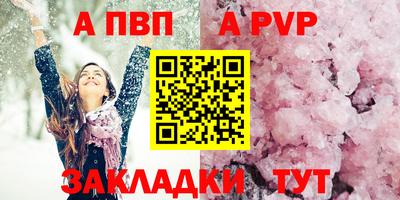 2c-b Кингисепп