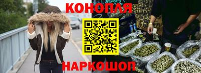 2c-b Кингисепп