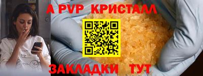 2c-b Кингисепп