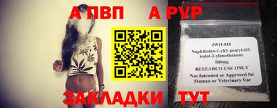 2c-b Кингисепп