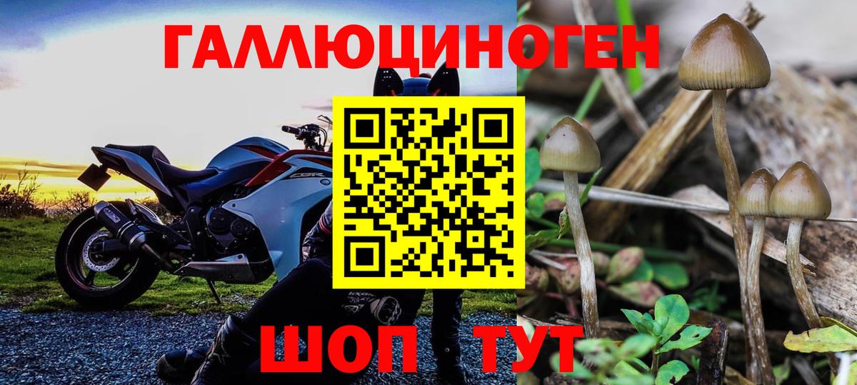 Псилоцибиновые грибы Magic Shrooms Краснодар
