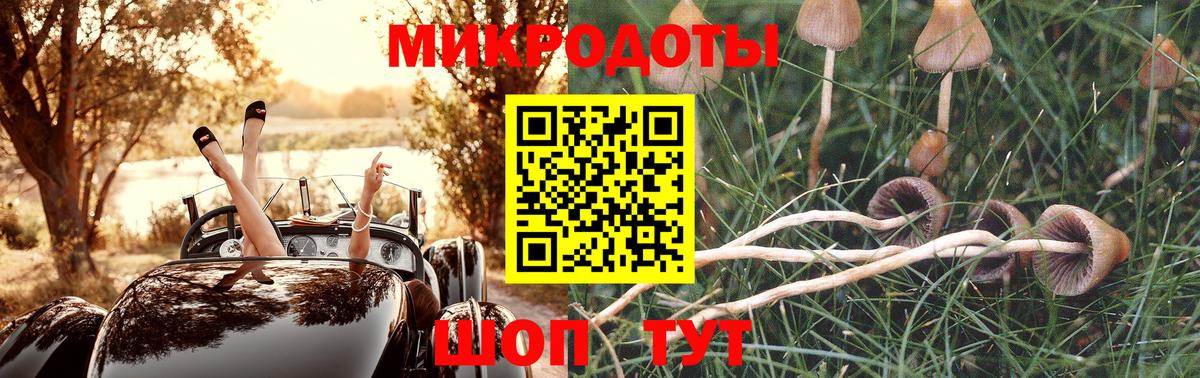 Псилоцибиновые грибы Psilocybine cubensis  Вход с VPN  Краснодар 